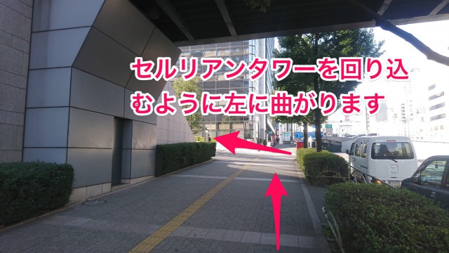 セルリアンタワーを回り込むように左に曲がります。